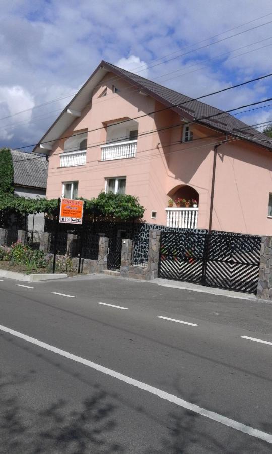 ホテルCasa Anca シゲトゥ・マルマツィエイ エクステリア 写真