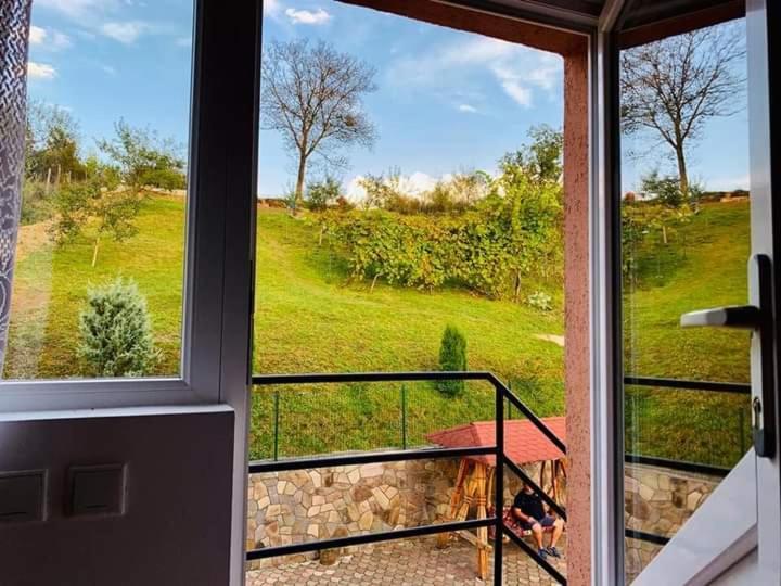 ホテルCasa Anca シゲトゥ・マルマツィエイ エクステリア 写真