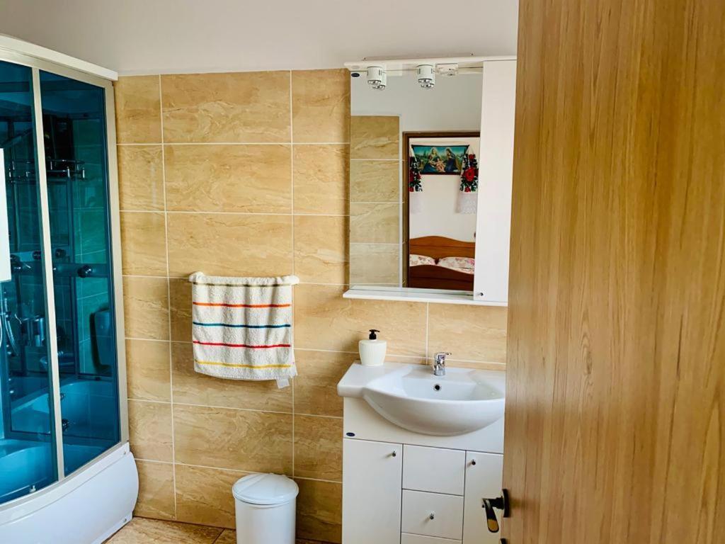 ホテルCasa Anca シゲトゥ・マルマツィエイ エクステリア 写真