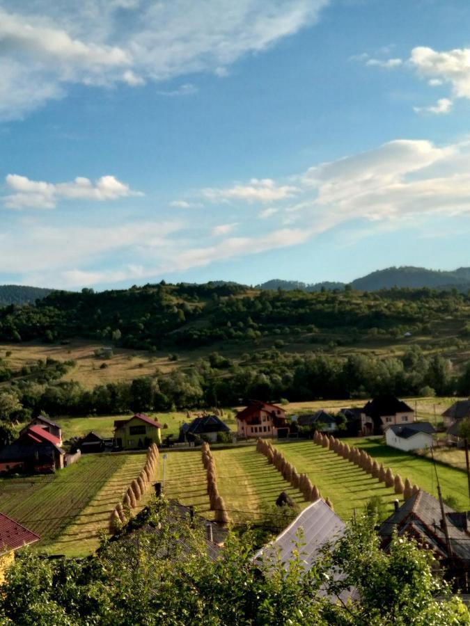ホテルCasa Anca シゲトゥ・マルマツィエイ エクステリア 写真