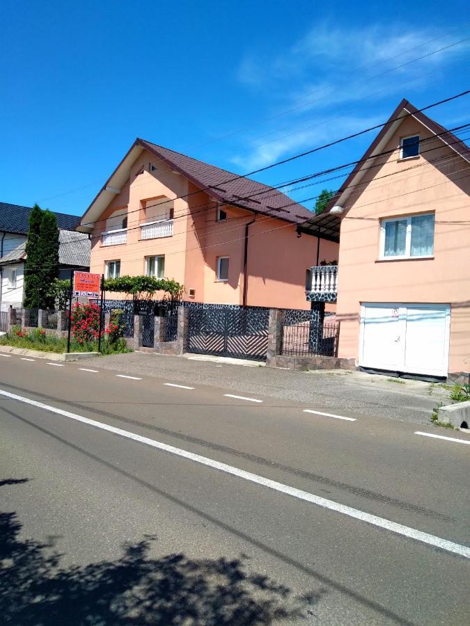 ホテルCasa Anca シゲトゥ・マルマツィエイ エクステリア 写真
