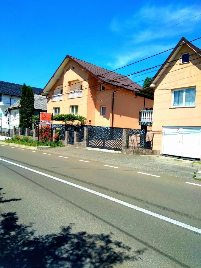 ホテルCasa Anca シゲトゥ・マルマツィエイ エクステリア 写真